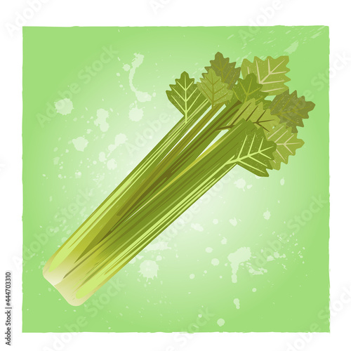 green celery with leaves