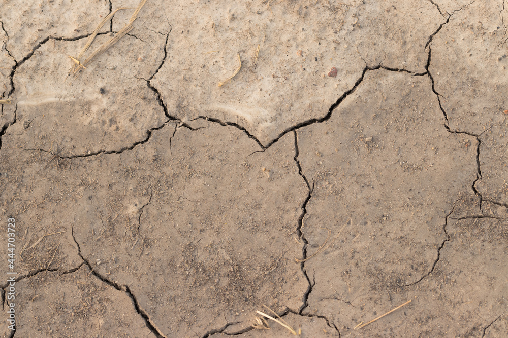 Fototapeta premium cracked earth background