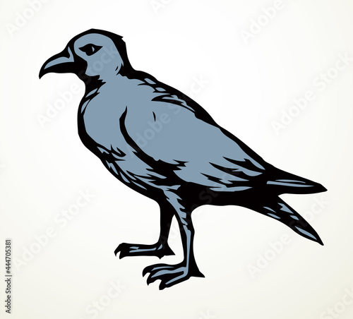 Big bird. Vector drawing icon sign