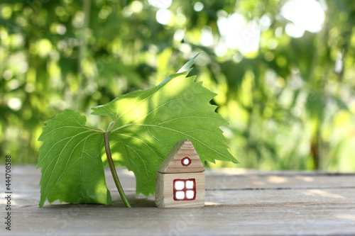 Slika na platnu wooden house under a canopy of a large grape leaf on a plot in the garden