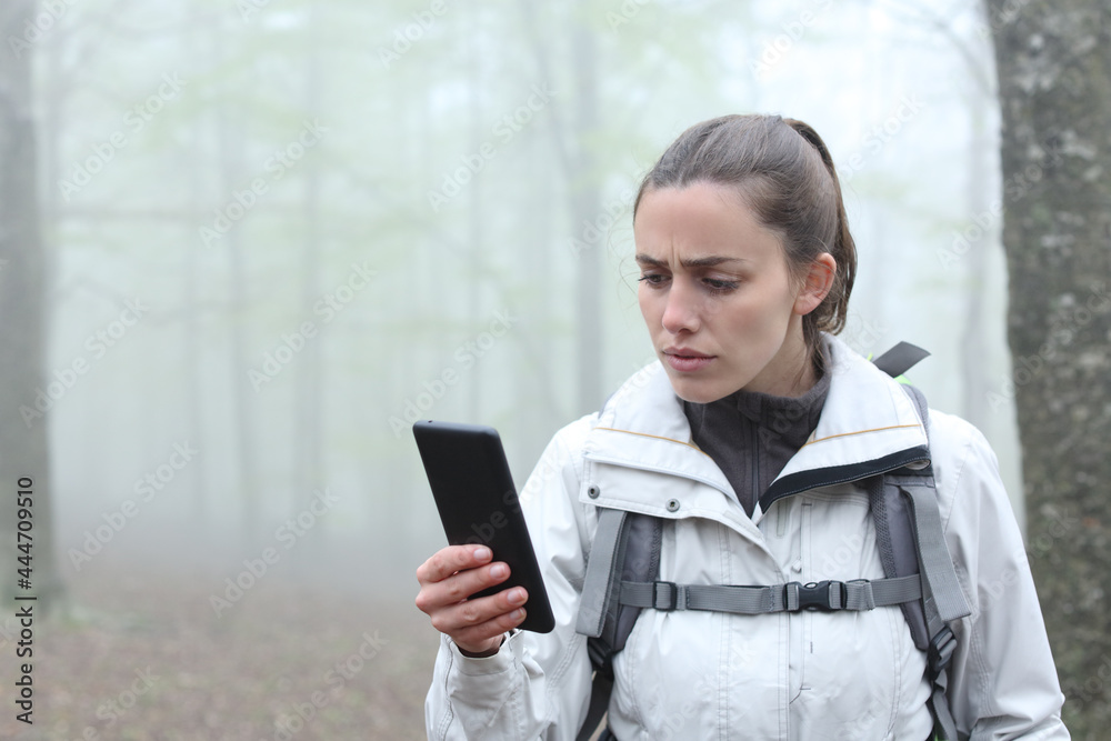 Fototapeta premium Lost trekker checking gps on smart phone in nature