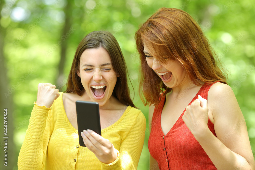 Two excited women checking smart phone in a park - obrazy, fototapety, plakaty 