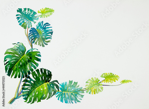 Wallpaper Mural Trendy Summer Tropical Leaves of monstera. Watercolor painting. Torontodigital.ca