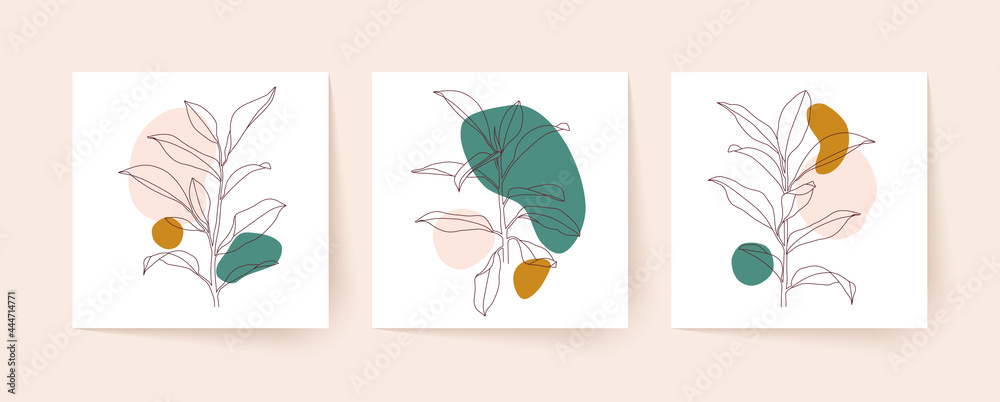 Line drawing of tropical plants with abstract organic shapes. Modern single line art. Vector illustration.
