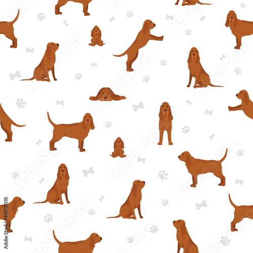 Bloodhound seamless pattern. Different coat colors and poses set