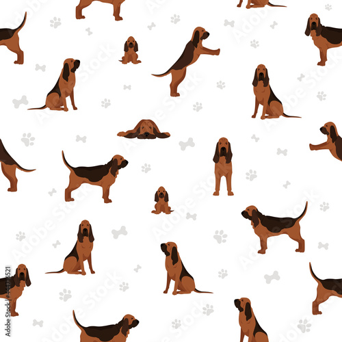 Bloodhound seamless pattern. Different coat colors and poses set