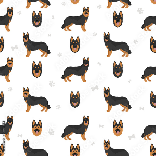 Bohemian shepherd seamless pattern. Different coat colors and poses set