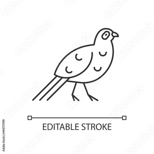Bird linear icon. Taiwan mountainous regions. Exotic forest inhabitants. Thin line customizable illustration. Contour symbol. Vector isolated outline drawing. Editable stroke