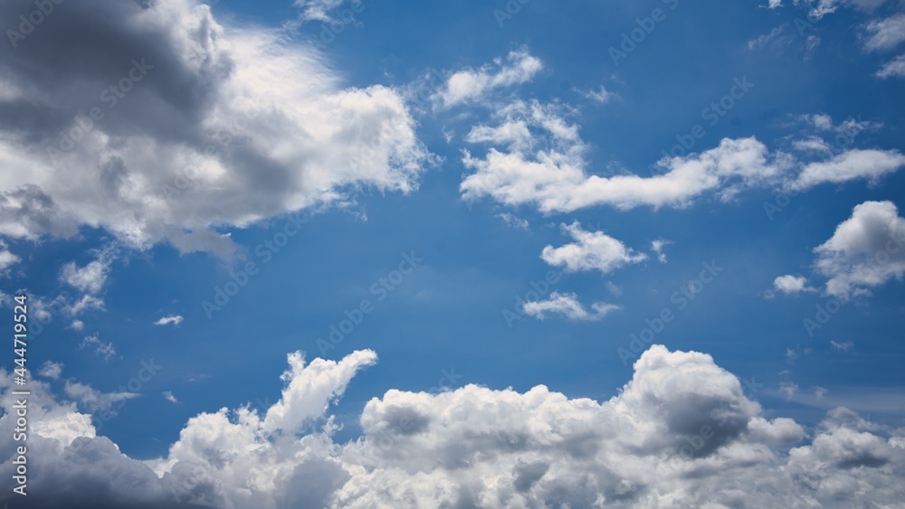Fototapeta premium 夏の青空