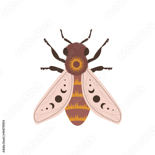 Boho honeybee. Insect with celestial elements. Witch and magic symbol. Abstract hand drawn vector illustration in bohemian style.