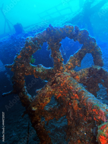 The Wreck of the Teti, near Vis Island, Adriatic sea, Croatia