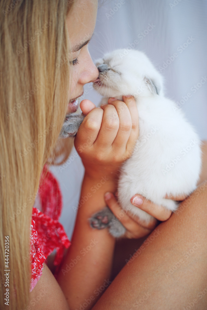 Girl with a kitten. A small kitten in the hands of a child. High quality photo Girl with a kitten. A small kitten in the hands of a child. High quality photo