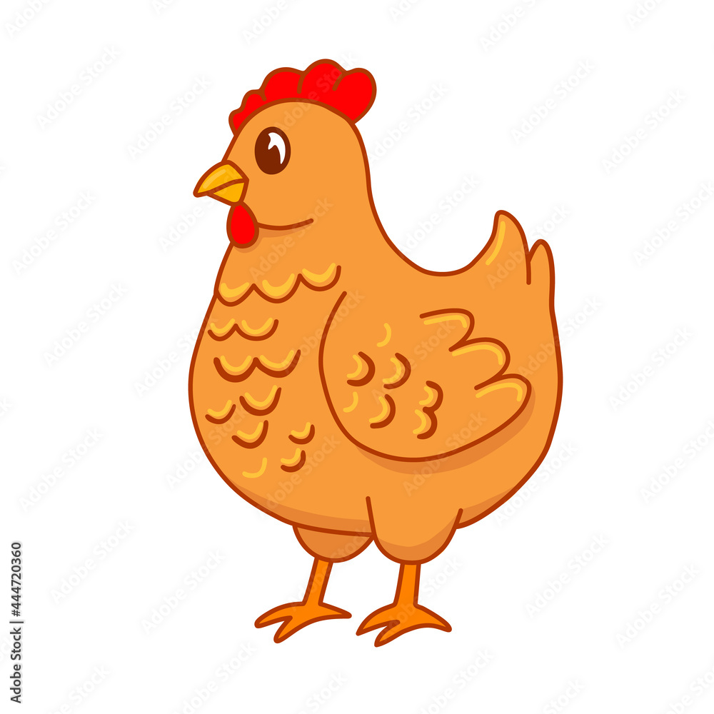 Cute portrait of cartoon farm hen on white background. Vector illustration of chicken for children's books and magazines, stickers, manuals