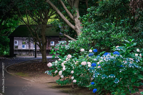 谷津干潟公園（千葉県習志野市） © WAWA