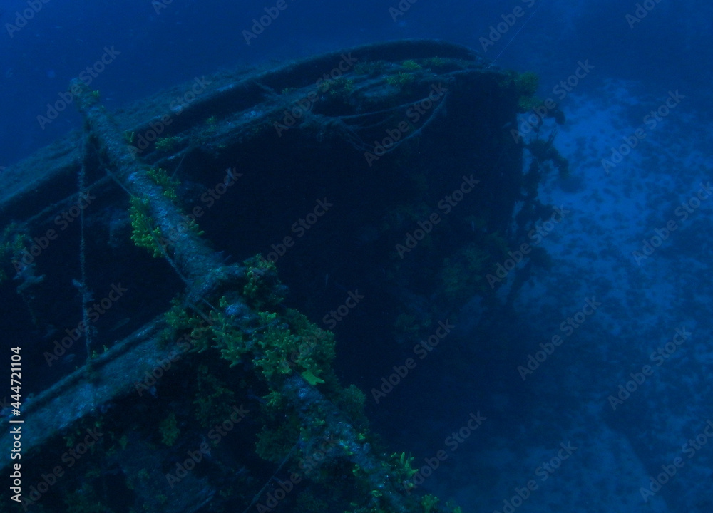 Obraz premium The Wreck of the Brioni, near Vis Island, Adriatic sea, Croatia (60m depth) 