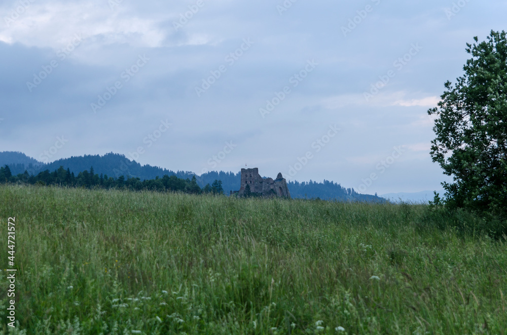 Zamek w Czorsztynie - obrazy, fototapety, plakaty 