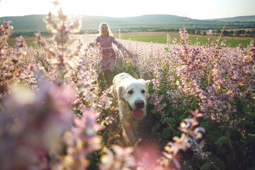 Group of children with a dog in nature. Girls play in the open air. High quality photo