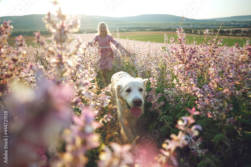 Group of children with a dog in nature. Girls play in the open air. High quality photo