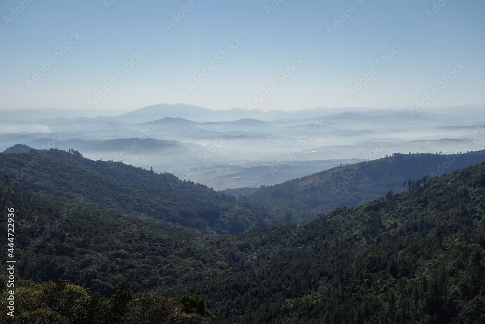 mountainscape with green tropical forest, misty valley on sunny day
