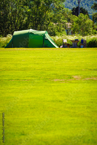 Tent on nature, Lofoten Norway