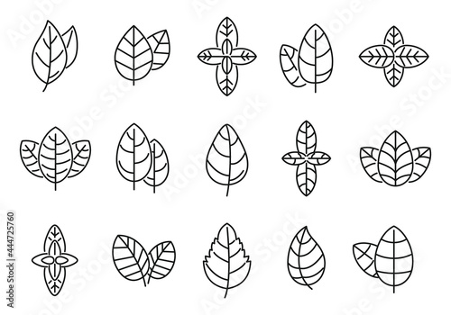 Agriculture basil icons set outline vector. Aroma leaf