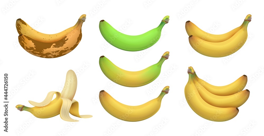 Isolated realistic banana. Tropical bananas, exotic fruits. Ripeness levels from green underripe to brown rotten. Vegetarian vitamins raw vector set