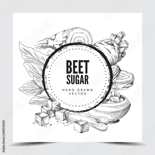 Black and white hand drawn vector illustration round frame or background with beet sugar and kitchenware for sugar.