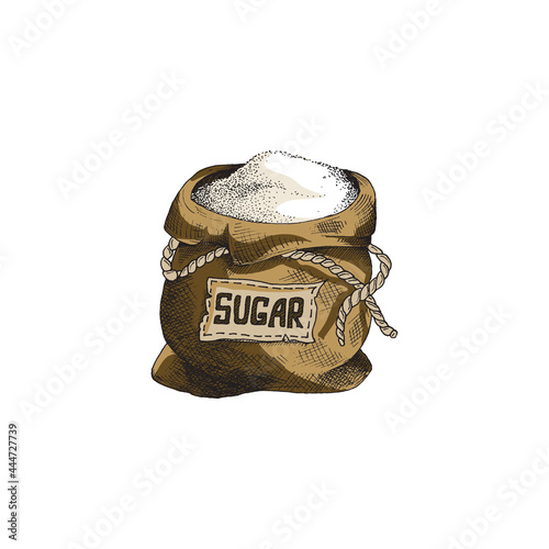 Open canvas bag with cane or beet sugar, engraving vector illustration isolated.