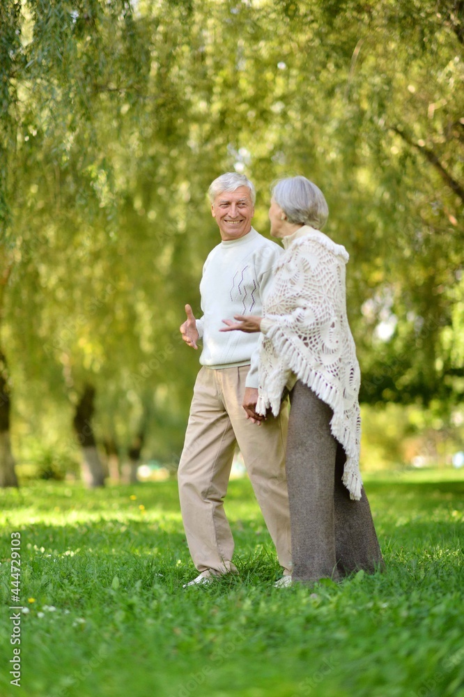 Portrait of old couple walking in autumn forest Portrait of old couple walking in autumn forest