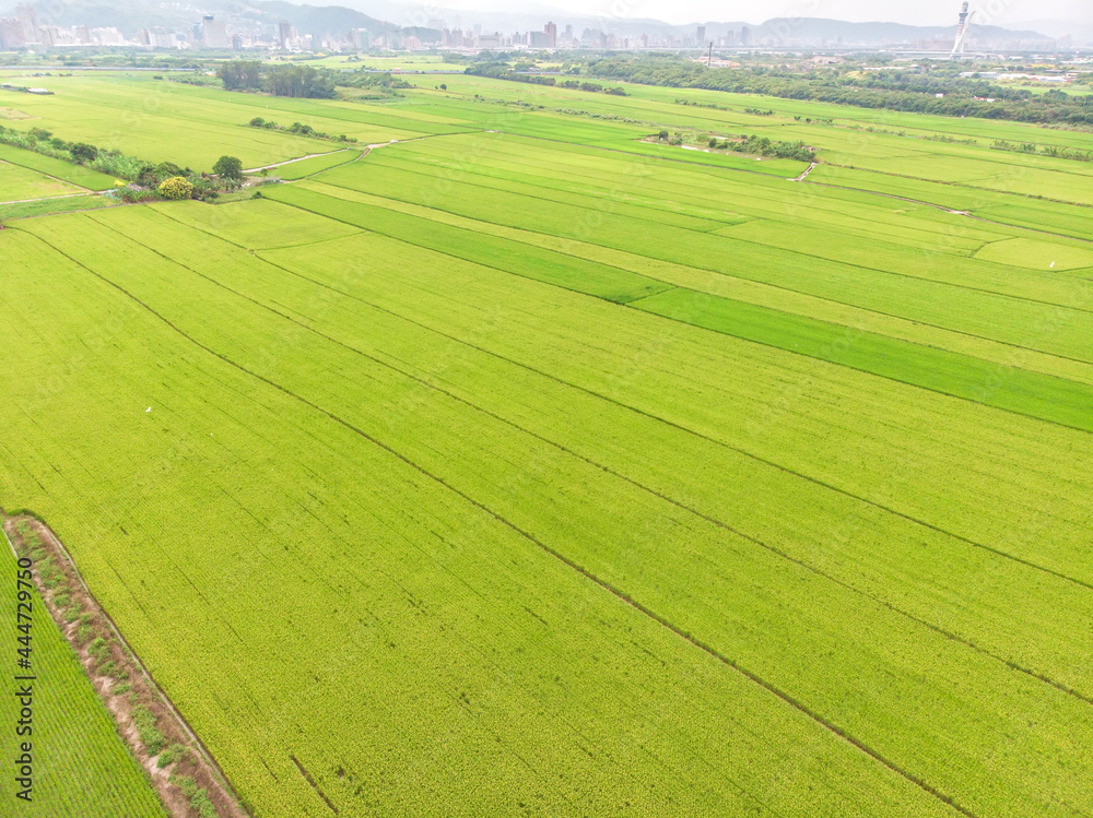 Landscape View of Guandu Plain, Taipei, Taiwan