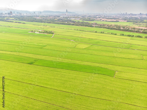 Landscape View of Guandu Plain, Taipei, Taiwan