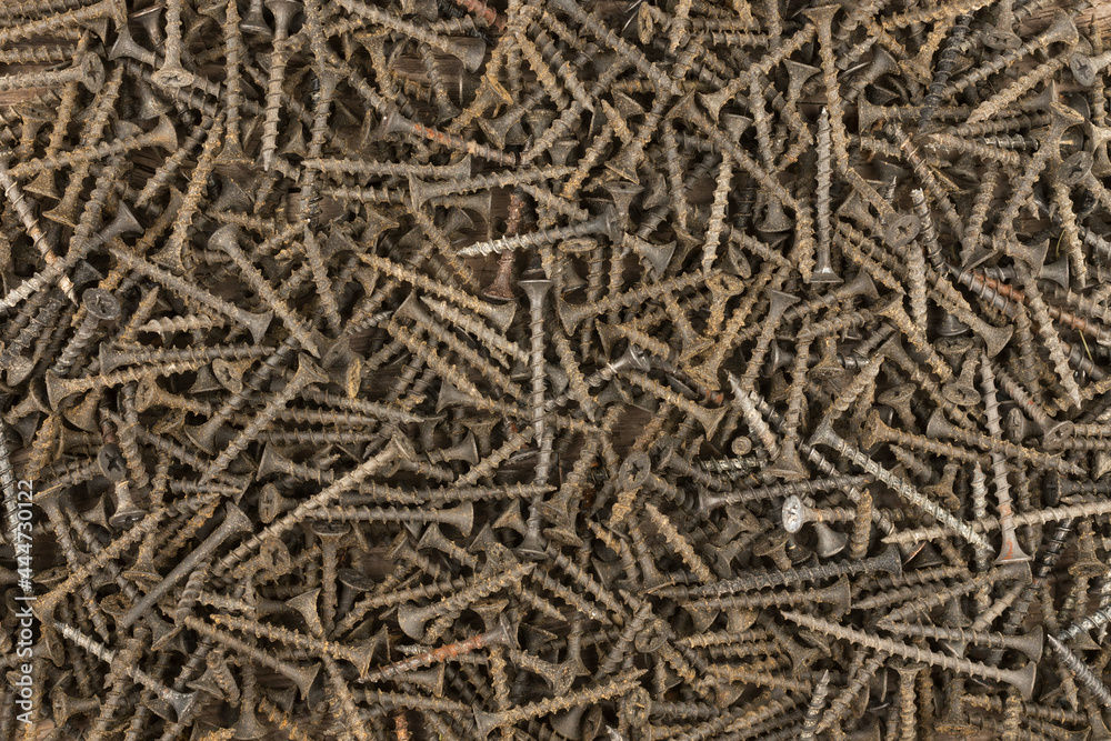 Screws made of steel, metal screw, iron screw, wood screw. Screws as a background. Screws made of steel, metal screw, iron screw, wood screw. Screws as a background.