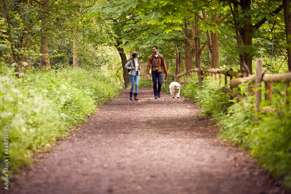 Couple With Pet Golden Retriever Dog Hiking Along Path Through Trees In Countryside Couple With Pet Golden Retriever Dog Hiking Along Path Through Trees In Countryside