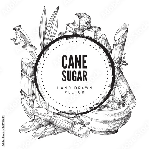Cane sugar decorative background or frame engraving vector illustration isolated.