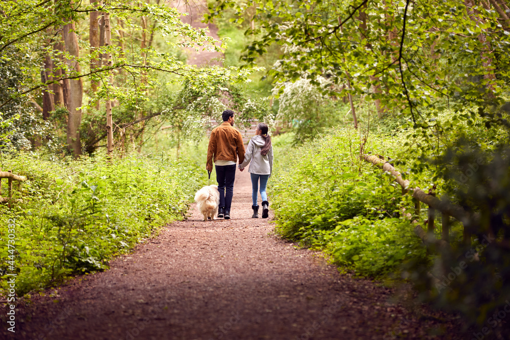 Fototapeta premium Rear View Of Couple With Pet Dog Walking Along Path Through Trees In Countryside