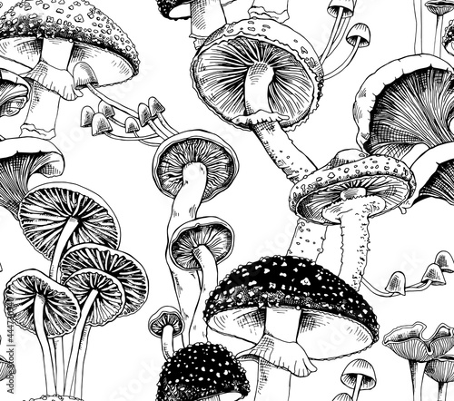 Seamless pattern. Different mushrooms. Textile composition, hand drawn style print. Vector black and white illustration.