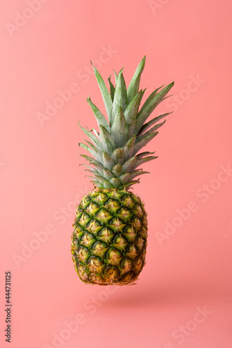 Flying fresh pineapple against powder pink pastel background. Minimal levitate fruit concept with shadow. Summer creative idea.