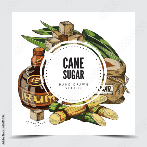 Cane sugar and rum frame or label engraving vector illustration isolated.