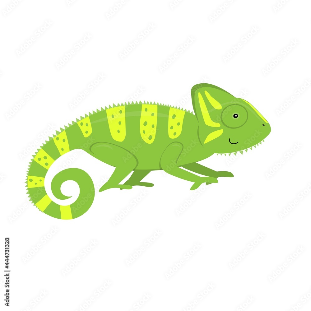 Fototapeta premium cartoon chameleon, flat color vector ilustration isolated on white background