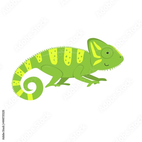 cartoon chameleon, flat color vector ilustration isolated on white background