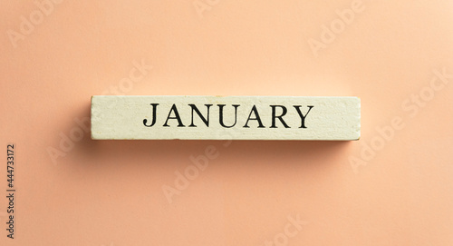 January word on white wooden block over pastel background with copyspace use for Calendar,Background,Wallpaper concept.