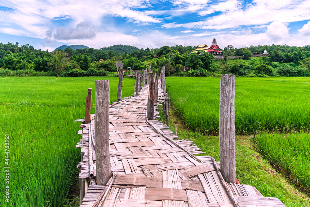 Bamboo bridge is name Su Tong Pe bridge across field in Mae Hong Son province, Thailand.