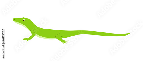 Green minimalist gecko or salamander lizard vector illustration isolated.