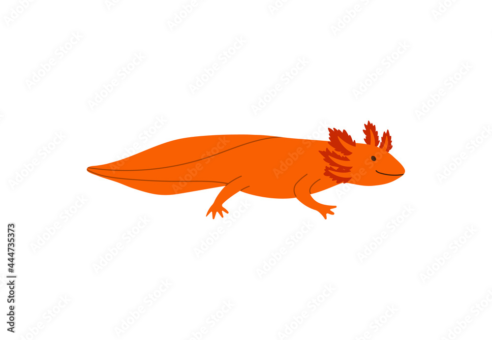 Cartoon minimalist style lizard with big tail flat vector illustration isolated. Cartoon minimalist style lizard with big tail flat vector illustration isolated.