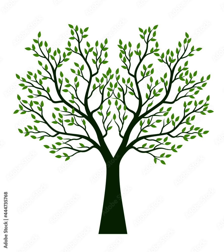 Shape of green Tree. Vector outline Illustration. Plant in Garden. Shape of green Tree. Vector outline Illustration. Plant in Garden.