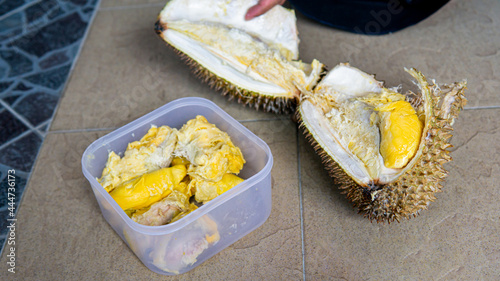 Hand Opened up Durian fruit and stored it inside a plastic food container for making a 