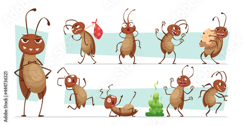 Dirt cockroach. Bad pests interior room bugs dirty insects hygiene exact vector funny characters illustrations collection photo
