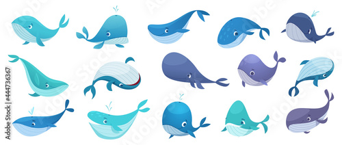 Whales collection. Ocean underwater life with big swimming blue fishes cute wild whales exact vector illustration