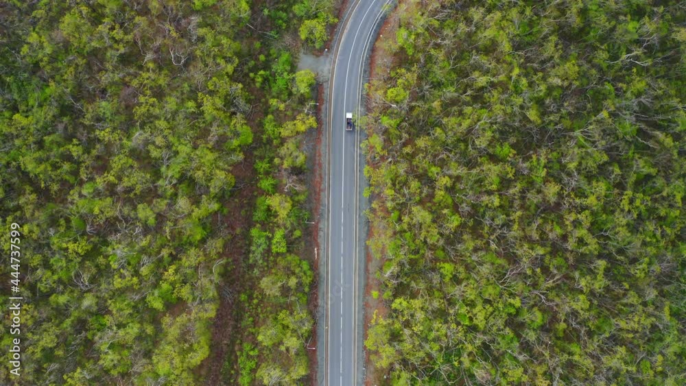 View from a drone vertically down on an asphalt road in the forest at dawn. View from a drone vertically down on an asphalt road in the forest at dawn.