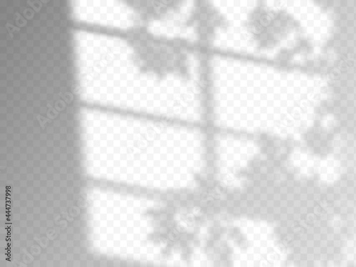 Modern shadow overlay, great design for any purposes. Blurred soft shadow from the window and branches of plants outside the window